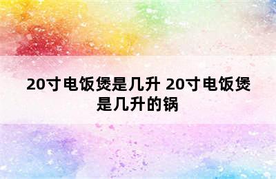 20寸电饭煲是几升 20寸电饭煲是几升的锅